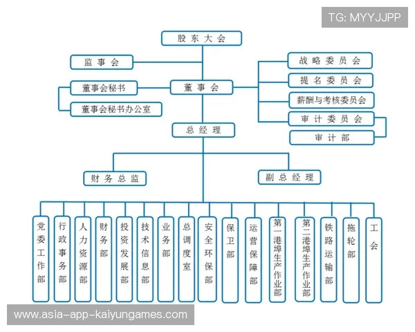 俱乐部董事会治理结构优化实务建议，俱乐部董事会治理结构优化实务建议怎么写